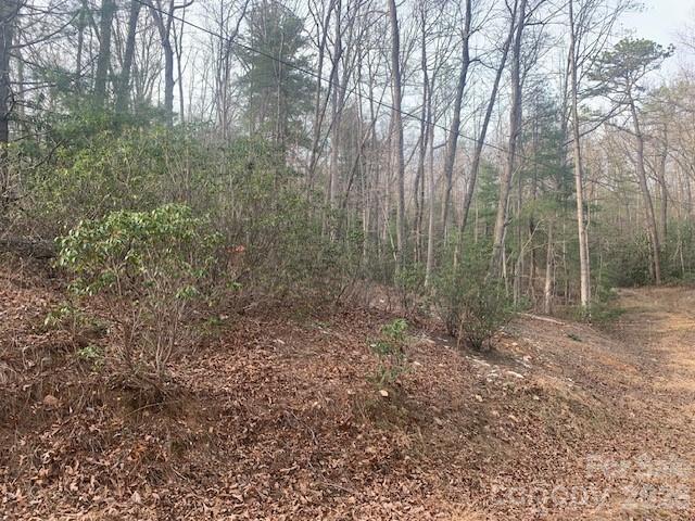 7.67-ac Holbert Cove Road, Unit 7 67 AC Saluda, NC 28773 - Photo 8 of 13 a view of a forest with trees in the background