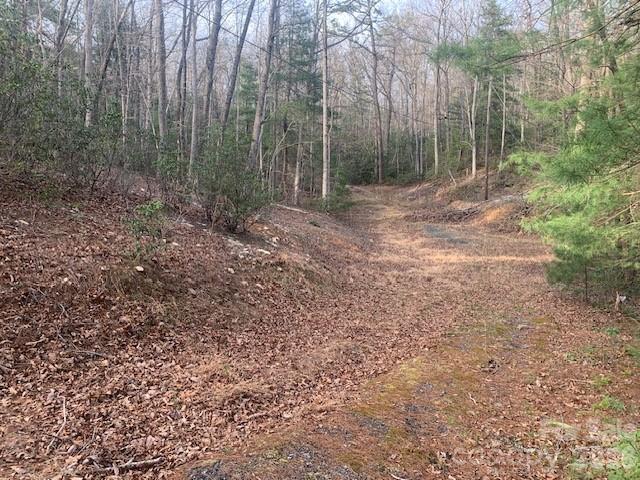 7.67-ac Holbert Cove Road, Unit 7 67 AC Saluda, NC 28773 - Photo 9 of 13 a view of outdoor space and yard