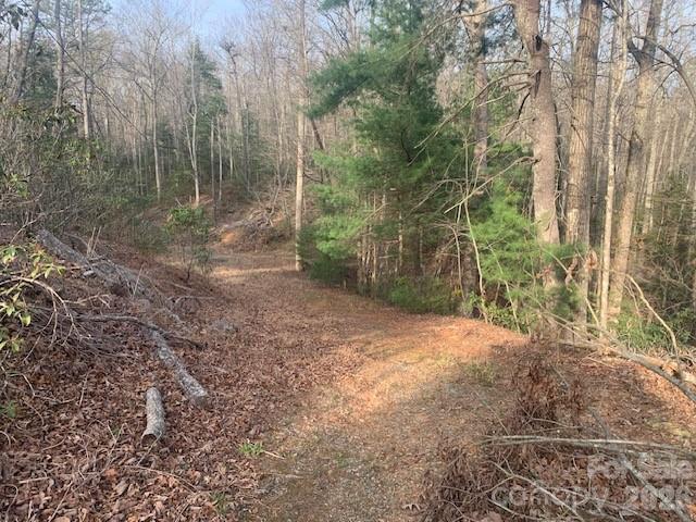 7.67-ac Holbert Cove Road, Unit 7 67 AC Saluda, NC 28773 - Photo 10 of 13 a view of a yard with trees in the background