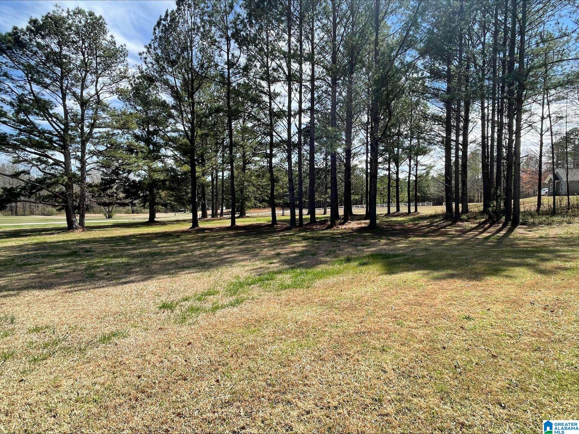 55 County Road 928 Delta, AL 36258 - Photo 22 of 28