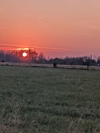 a view of a lake in middle of forest