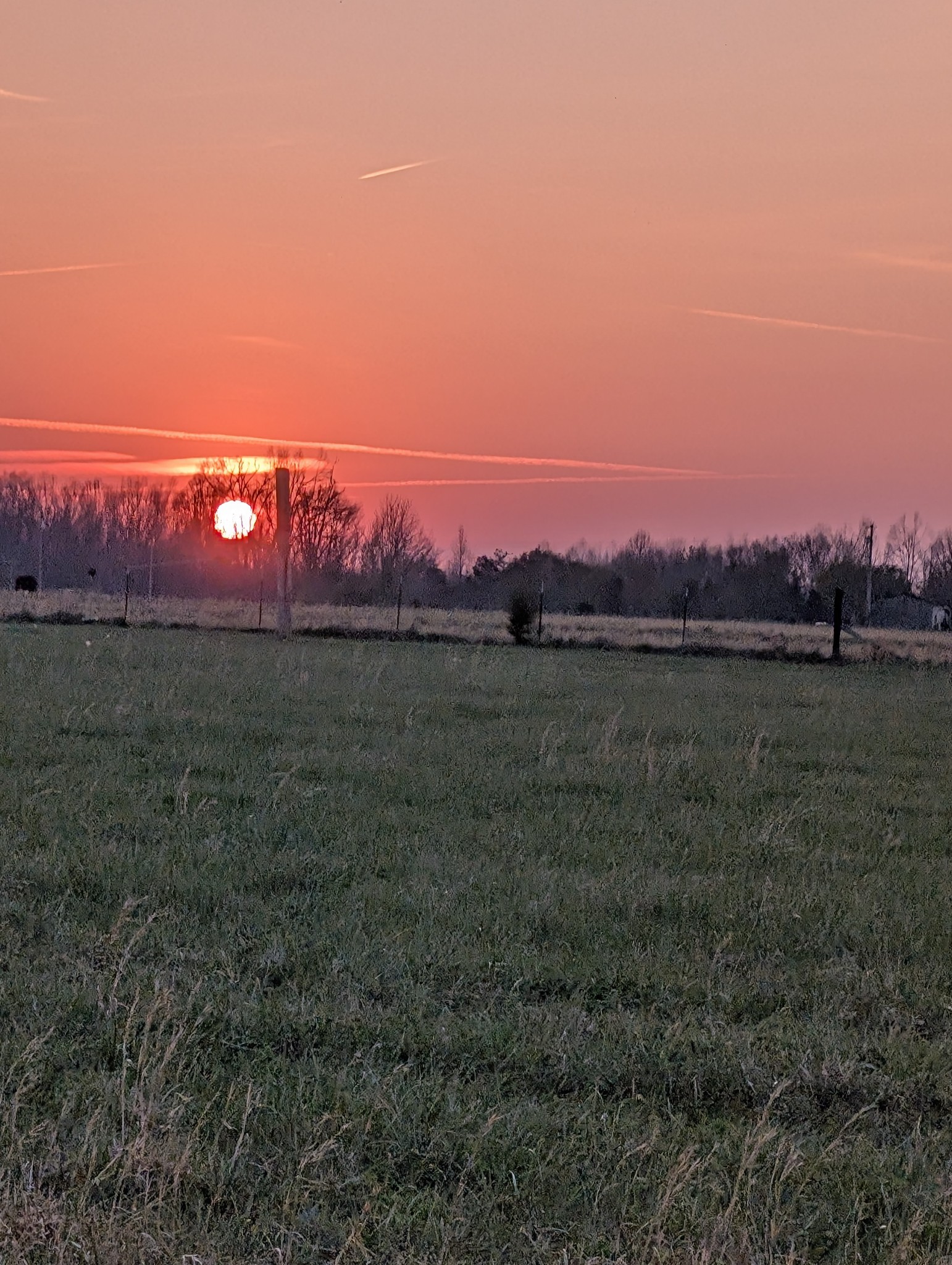 293 Hawkins Road Westmoreland, TN 37186 - Photo 3 of 6