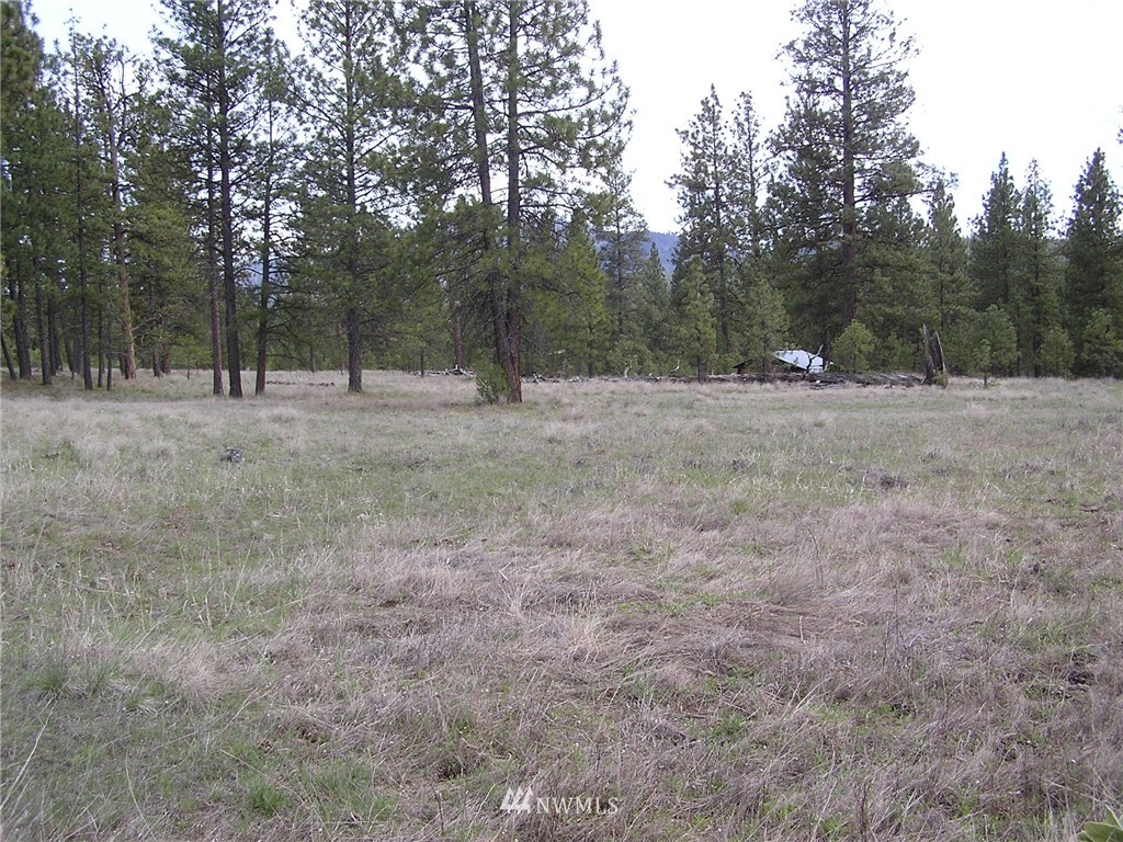 1300 Aeneas Valley Road Tonasket, WA 98855 - Photo 17 of 25