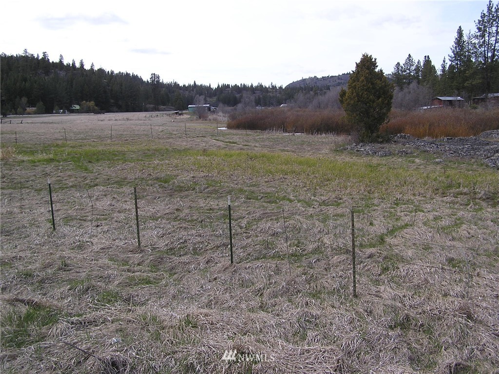1300 Aeneas Valley Road Tonasket, WA 98855 - Photo 8 of 25