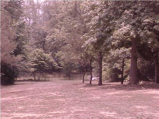 841 West Reed Road LaFayette, GA 30728 - Photo 4 of 6 Additional Photo