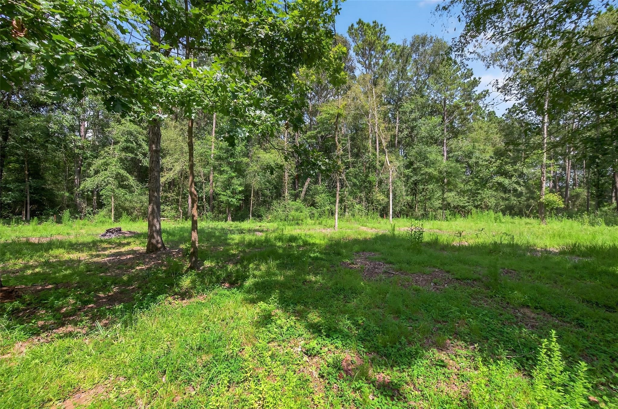 7603 Timber Switch Road Cleveland, TX 77328 - Photo 43 of 46