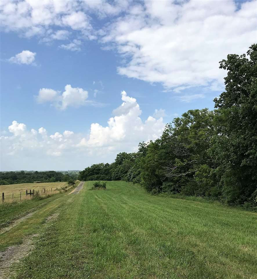 41-acres Warsaw Road Dry Ridge, KY 41035 - Photo 6 of 20
