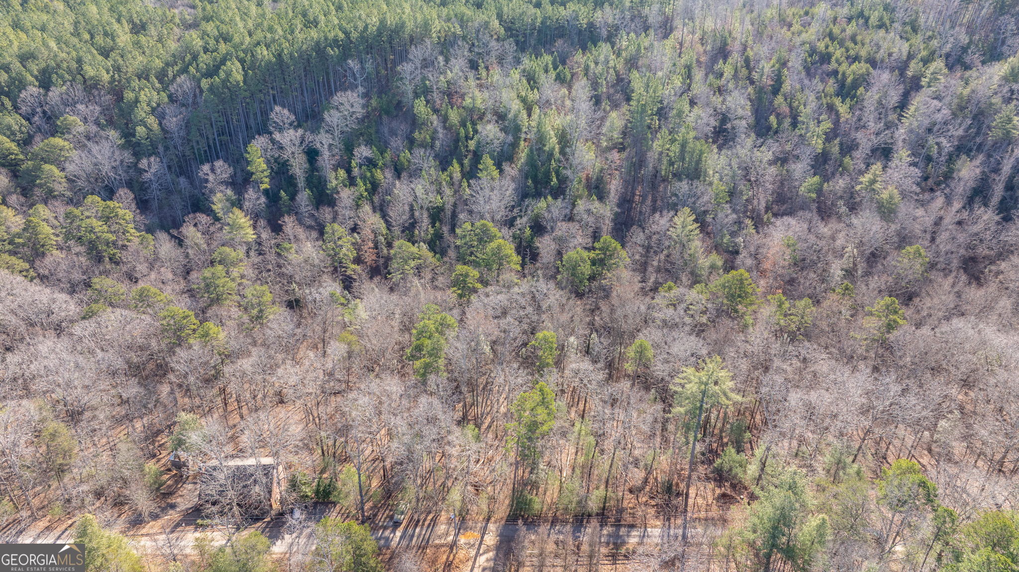 0 Cady Lane Cleveland, GA 30528 - Photo 11 of 28