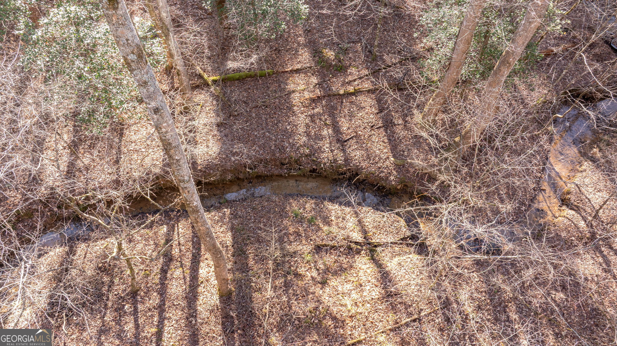 0 Cady Lane Cleveland, GA 30528 - Photo 2 of 28