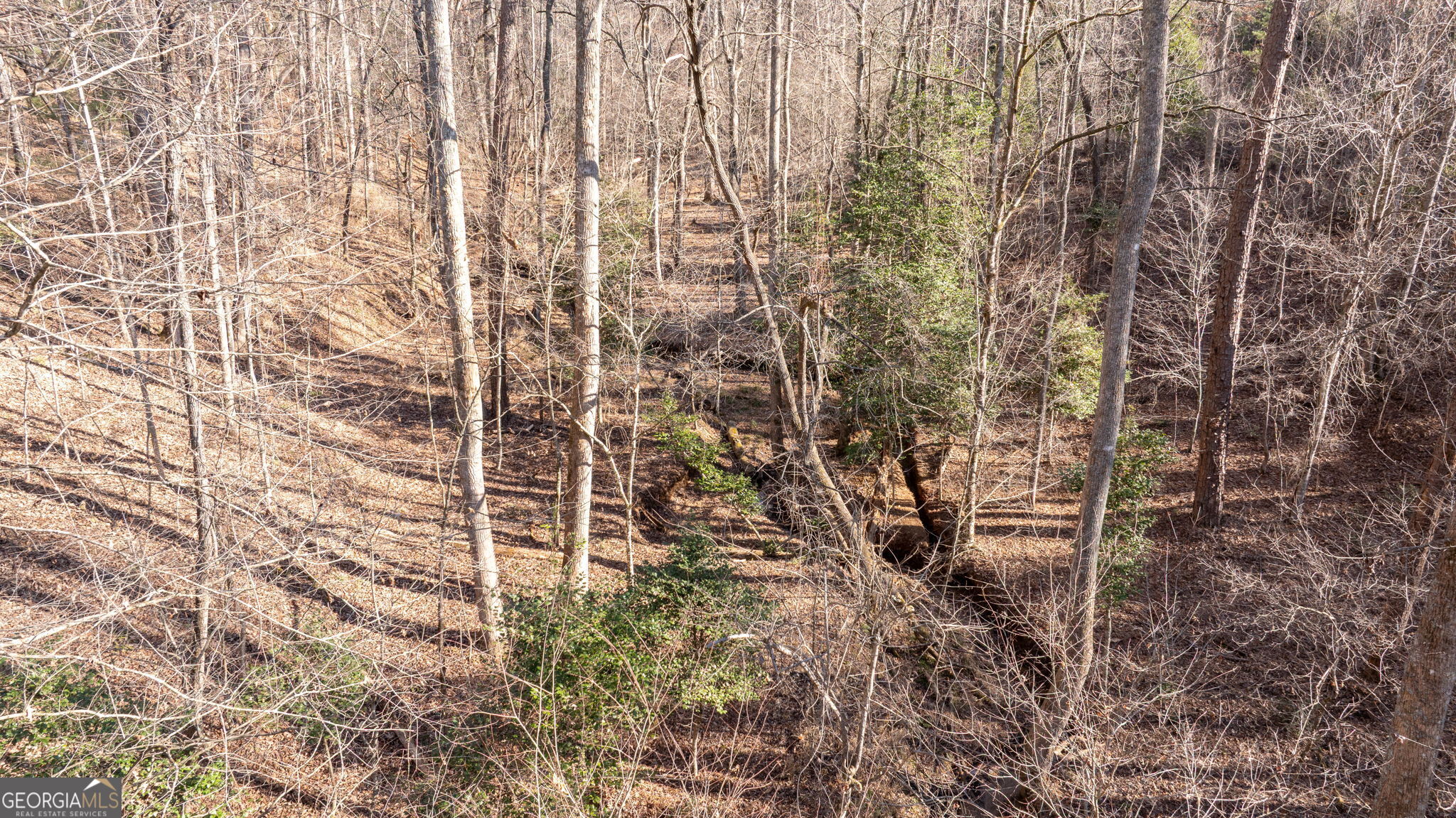 0 Cady Lane Cleveland, GA 30528 - Photo 26 of 28