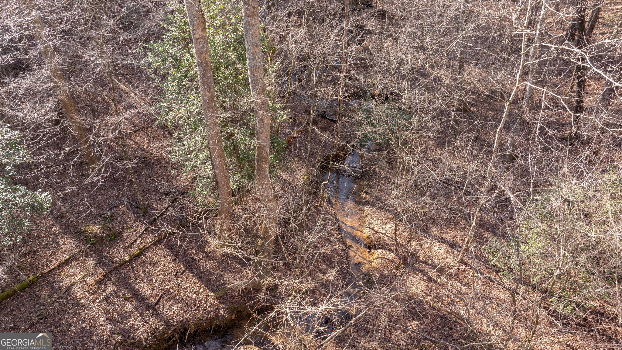 0 Cady Lane Cleveland, GA 30528 - Photo 27 of 28