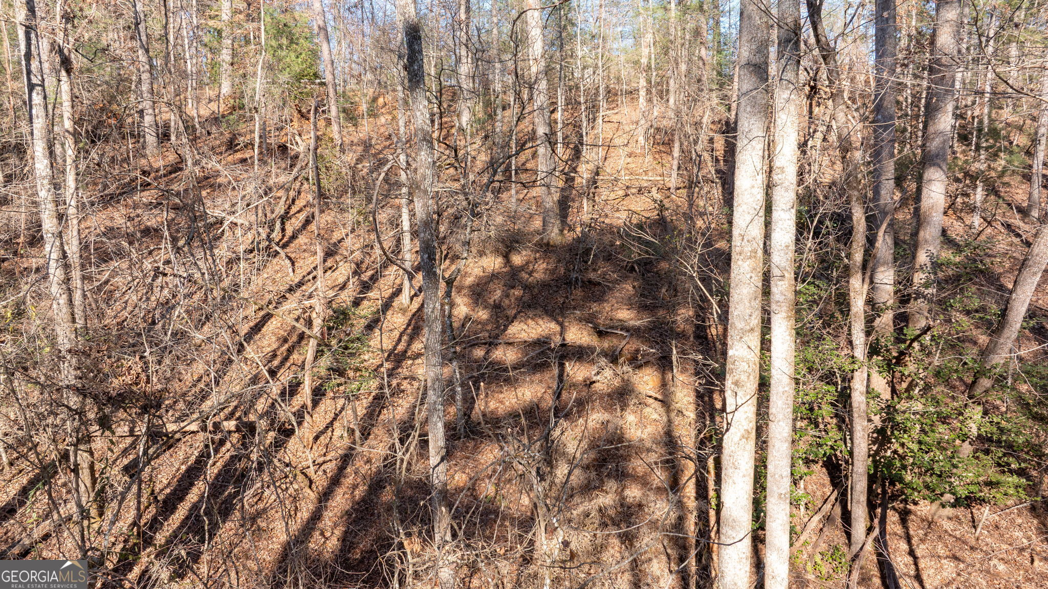 0 Cady Lane Cleveland, GA 30528 - Photo 28 of 28