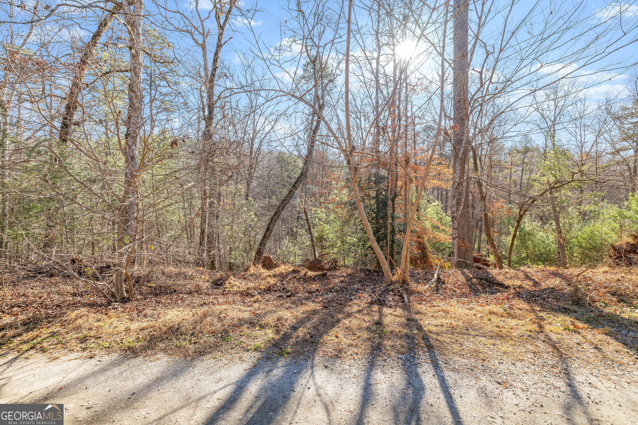 0 Cady Lane Cleveland, GA 30528 - Photo 5 of 28