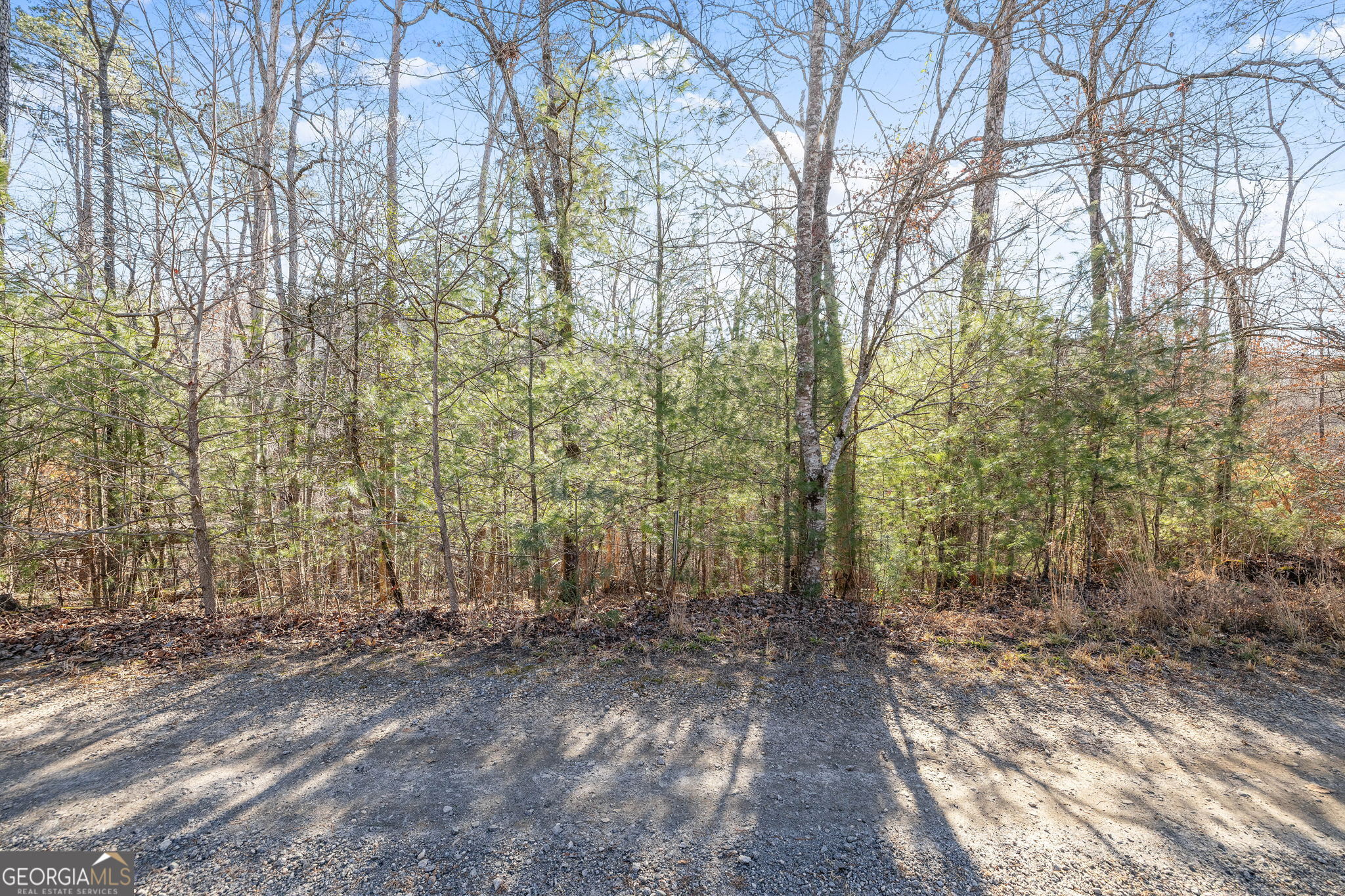 0 Cady Lane Cleveland, GA 30528 - Photo 6 of 28