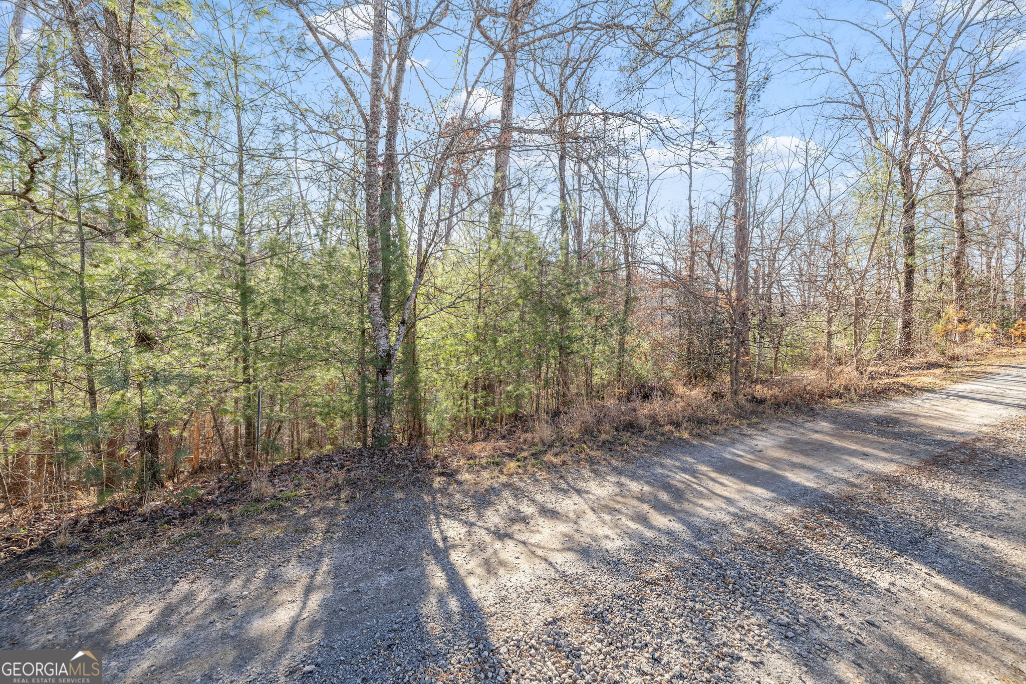 0 Cady Lane Cleveland, GA 30528 - Photo 7 of 28