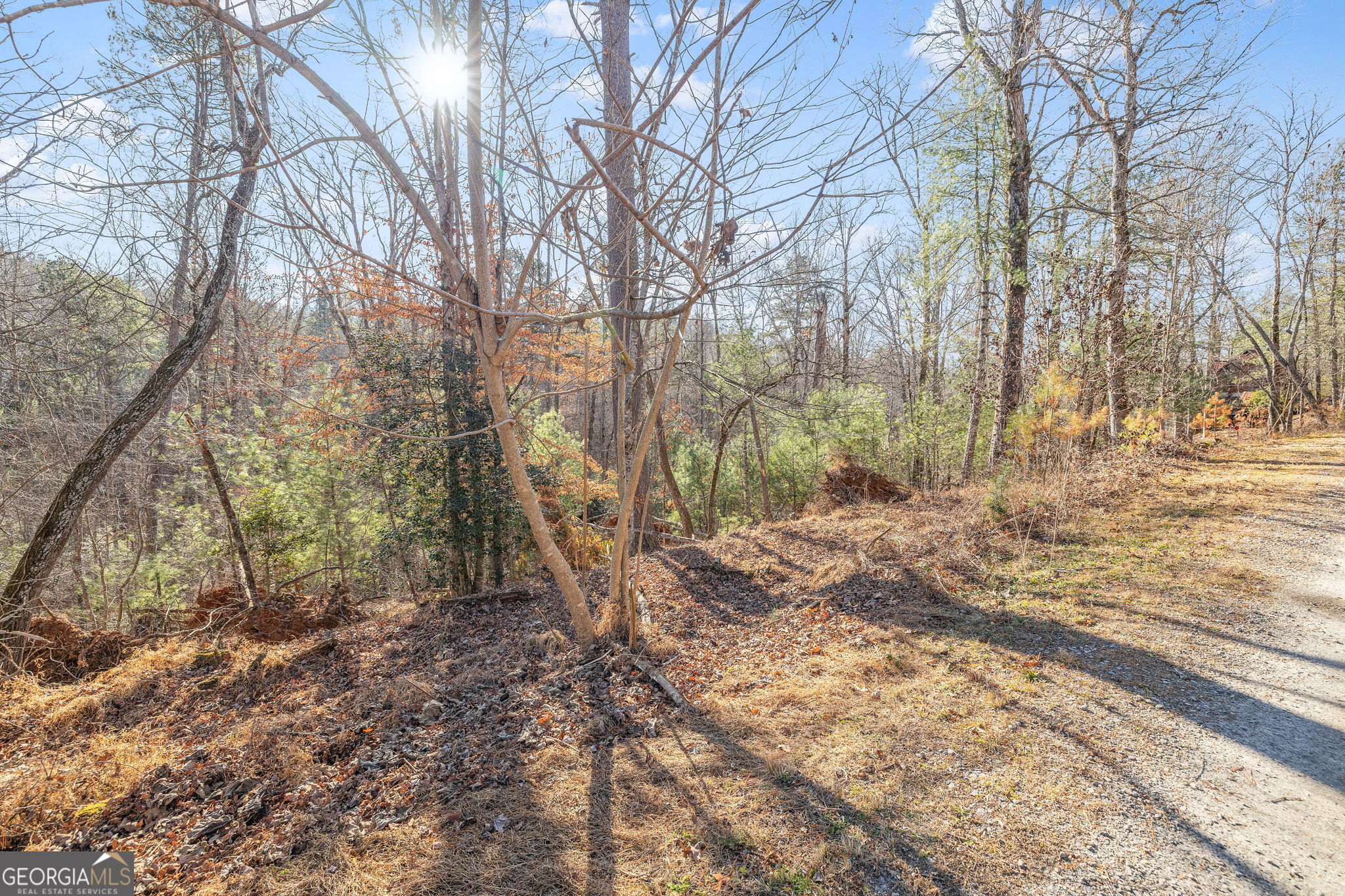 0 Cady Lane Cleveland, GA 30528 - Photo 8 of 28