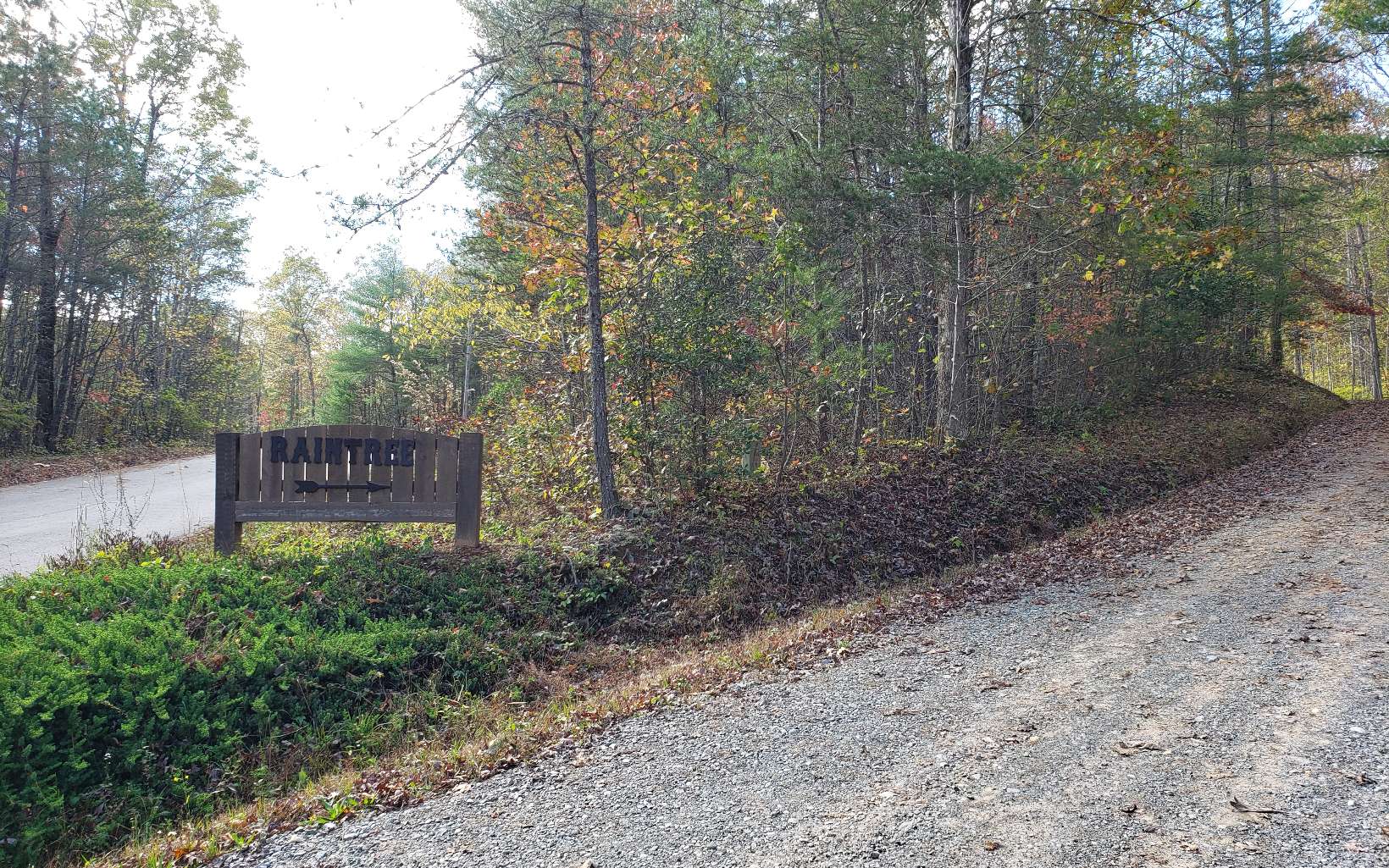 18 Raintree Blue Ridge Blue Ridge, GA 30513 - Photo 2 of 4 Additional View