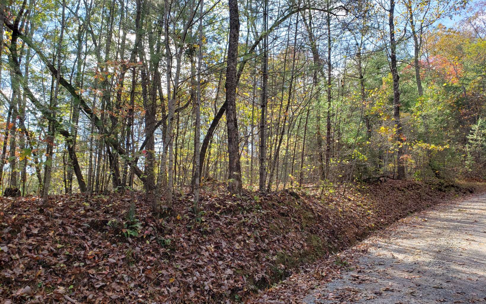 18 Raintree Blue Ridge Blue Ridge, GA 30513 - Photo 4 of 4 Additional View