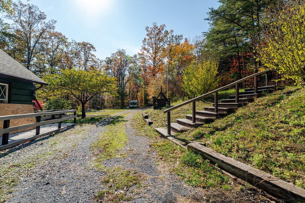 115 Risk Road Mount Jackson, VA 22842 - Photo 31 of 50 a view of a yard with wooden fence