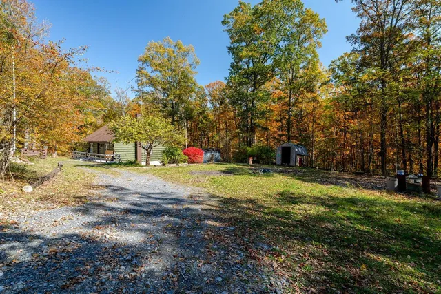 a view of a tree in front of a house