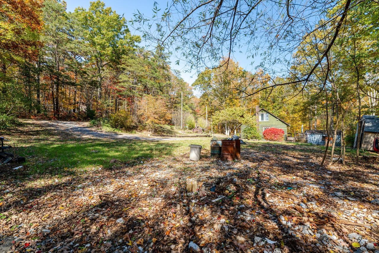 115 Risk Road Mount Jackson, VA 22842 - Photo 35 of 50 a street view with large trees