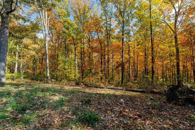 a view of outdoor space with trees
