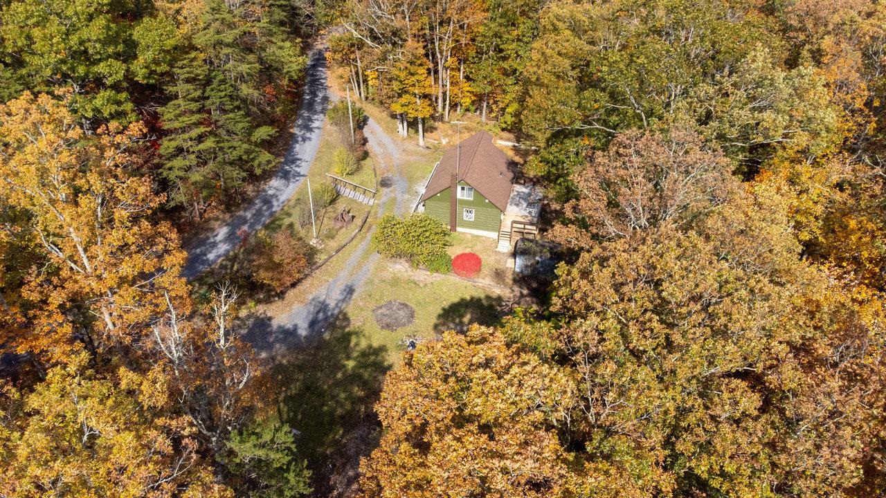 115 Risk Road Mount Jackson, VA 22842 - Photo 45 of 50