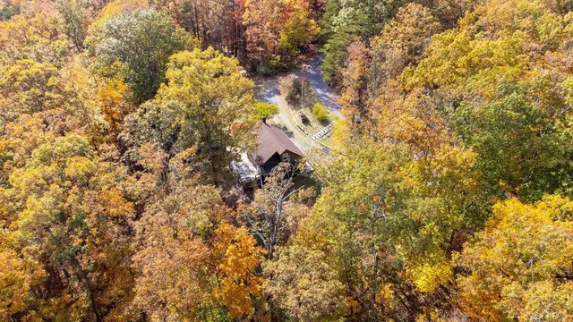 a view of a tree with a yard