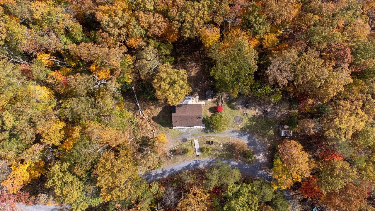 115 Risk Road Mount Jackson, VA 22842 - Photo 47 of 50 a view of a tree with a yard
