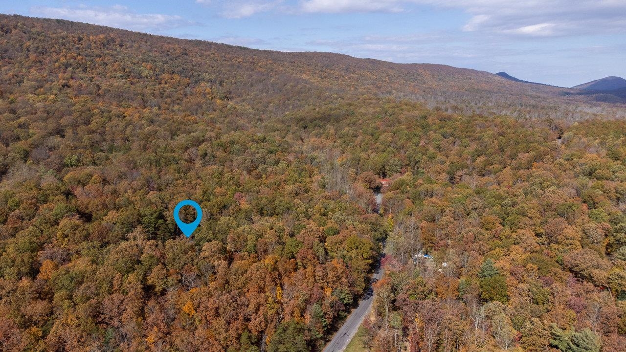 115 Risk Road Mount Jackson, VA 22842 - Photo 49 of 50 a view of a area with a mountain in the background