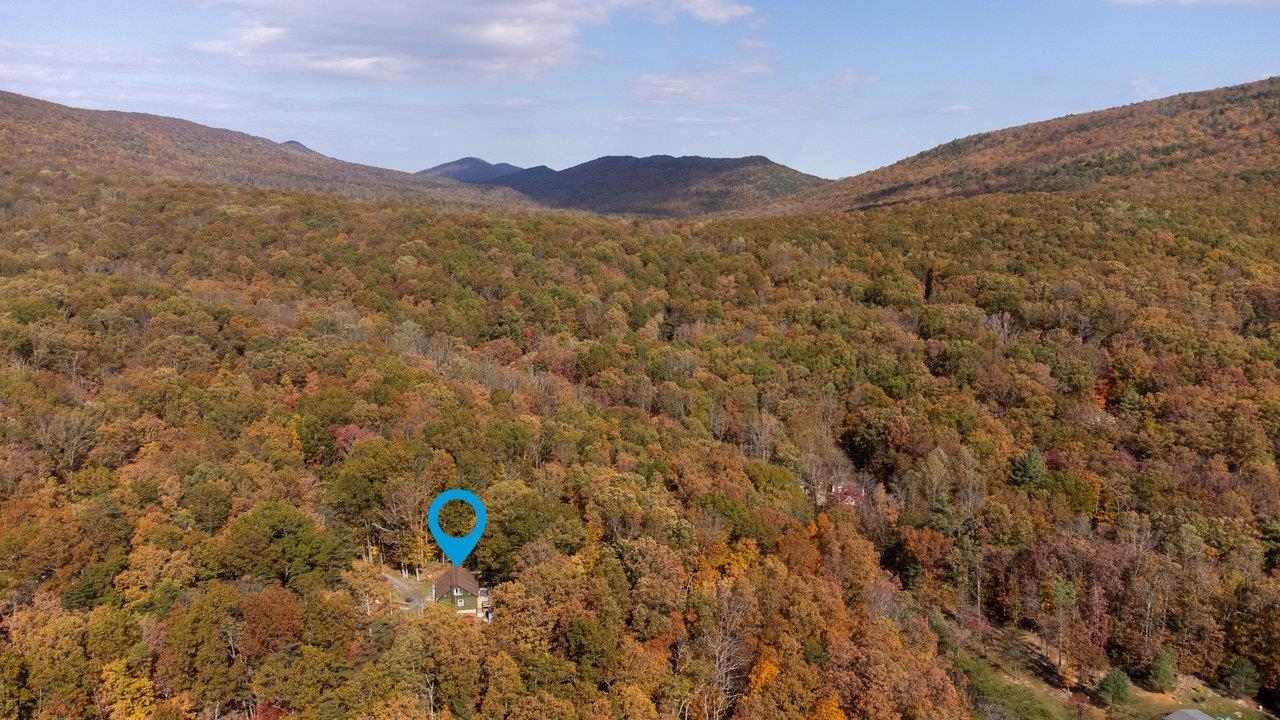115 Risk Road Mount Jackson, VA 22842 - Photo 50 of 50 a view of a mountain