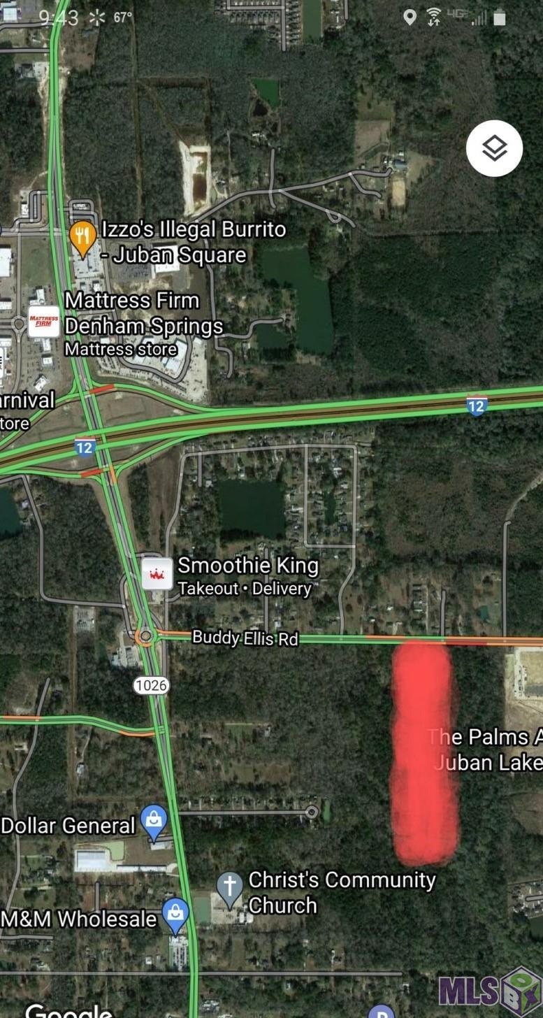 10482 Buddy Ellis Road Denham Springs, LA 70726 - Photo 2 of 2