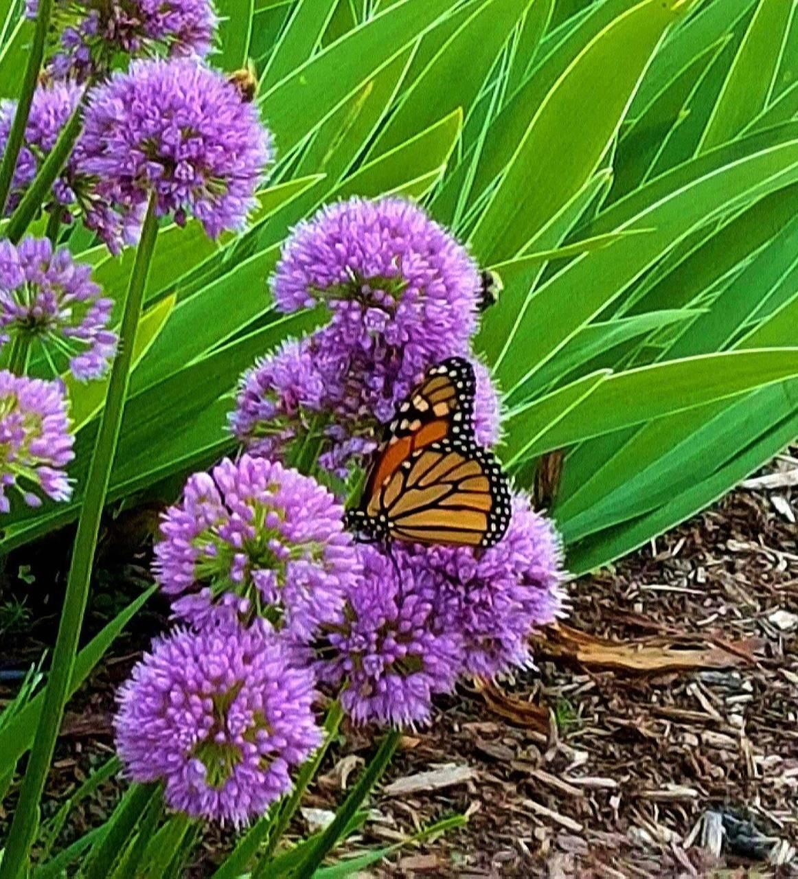 103 Locke Road Rye, NH 03870 - Photo 39 of 40