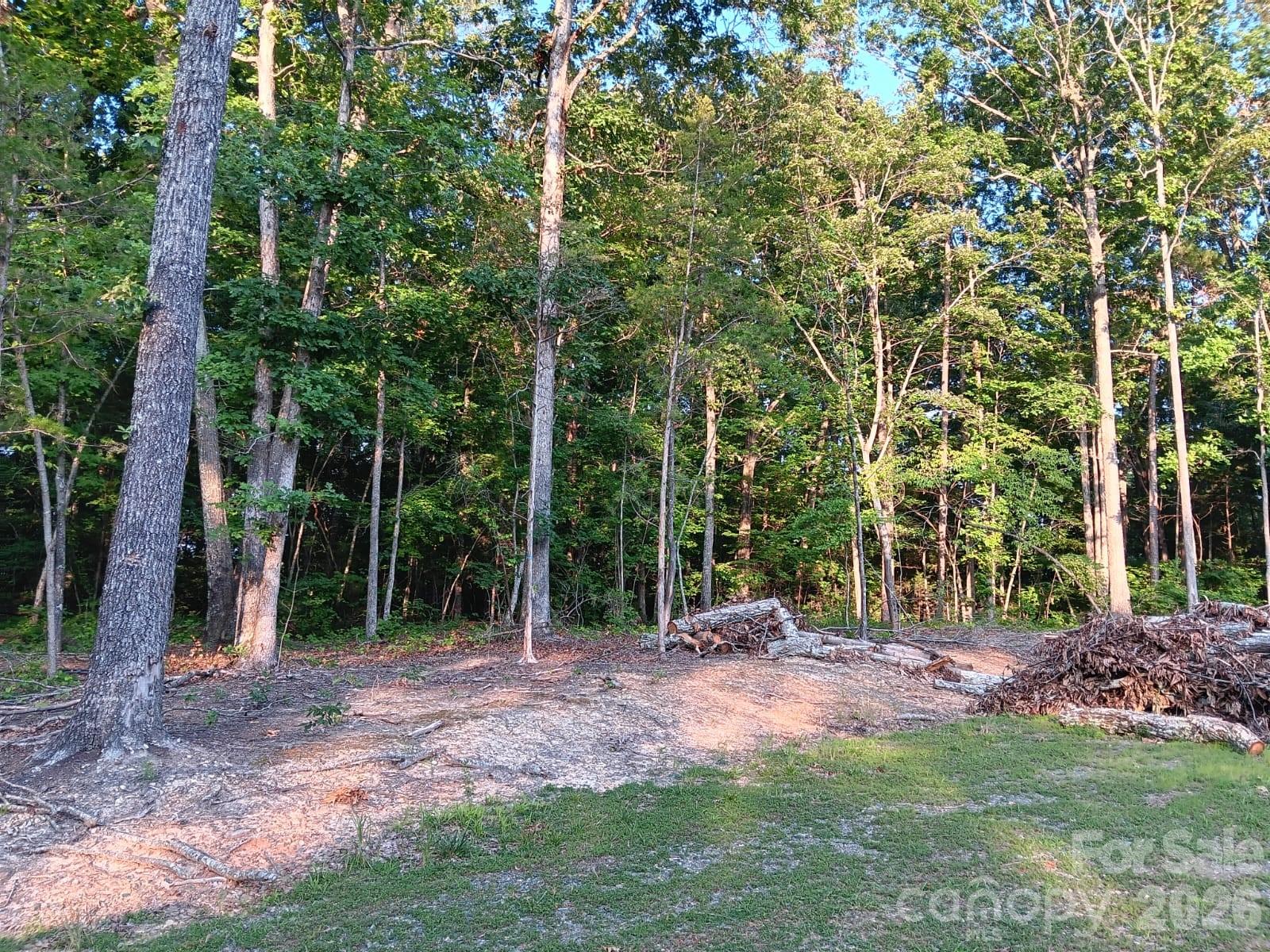 11610 Brief Road, Unit 2 Charlotte, NC 28227 - Photo 9 of 16 a backyard of a house with lots of green space