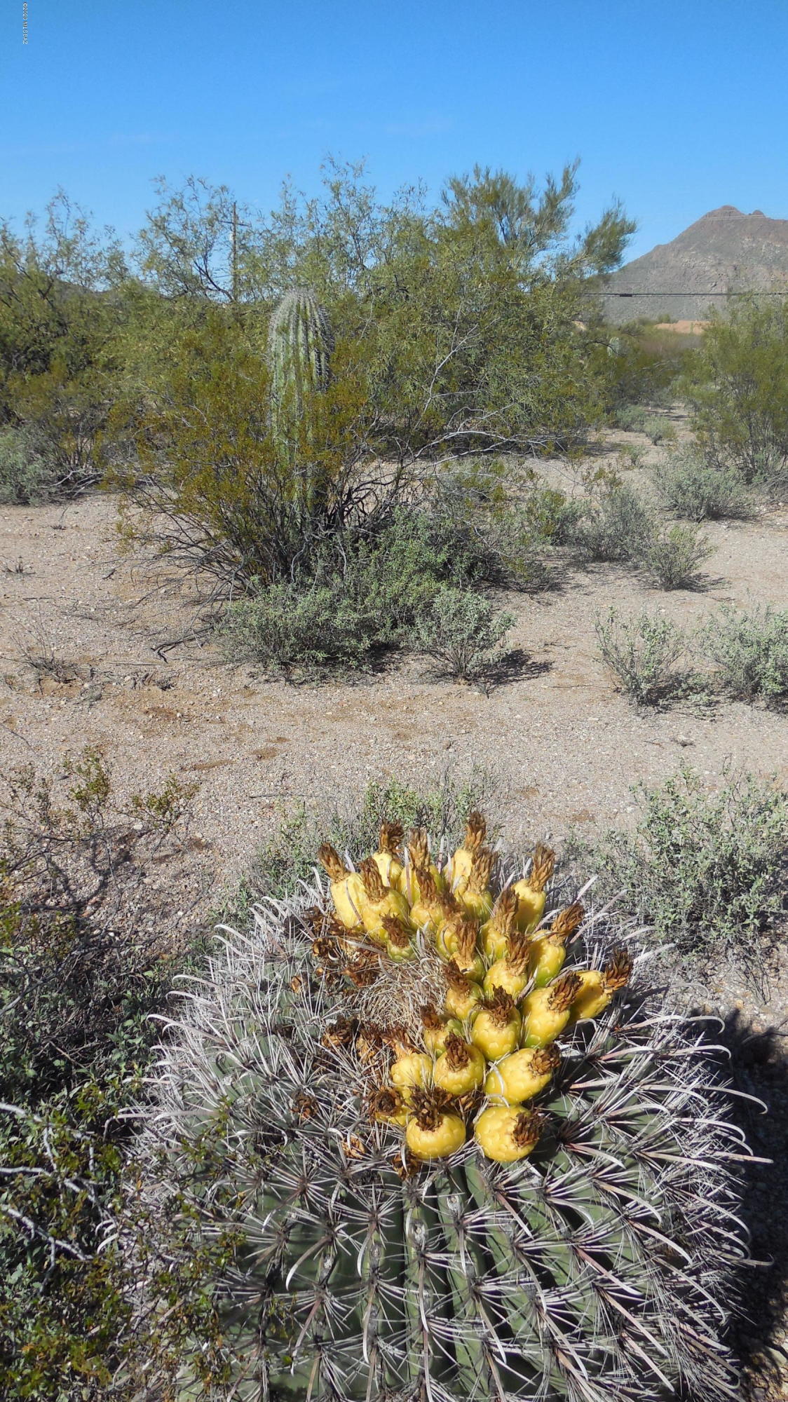 0 West Bopp Road, Unit 9 Tucson, AZ 85735 - Photo 13 of 33 Gallery Image 13