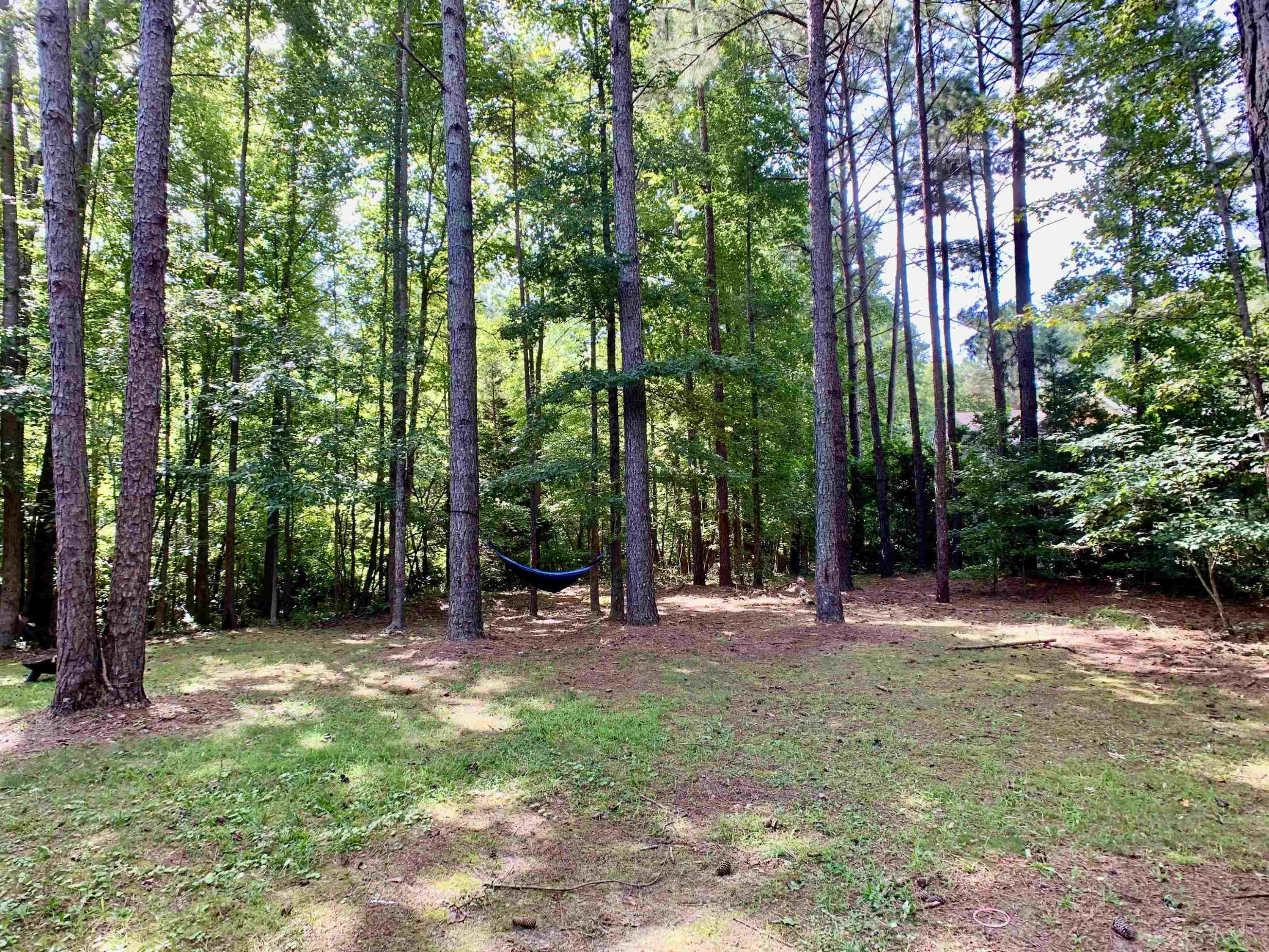 159 Geranium Way Clayton, NC 27527 - Photo 30 of 30 Photo 30