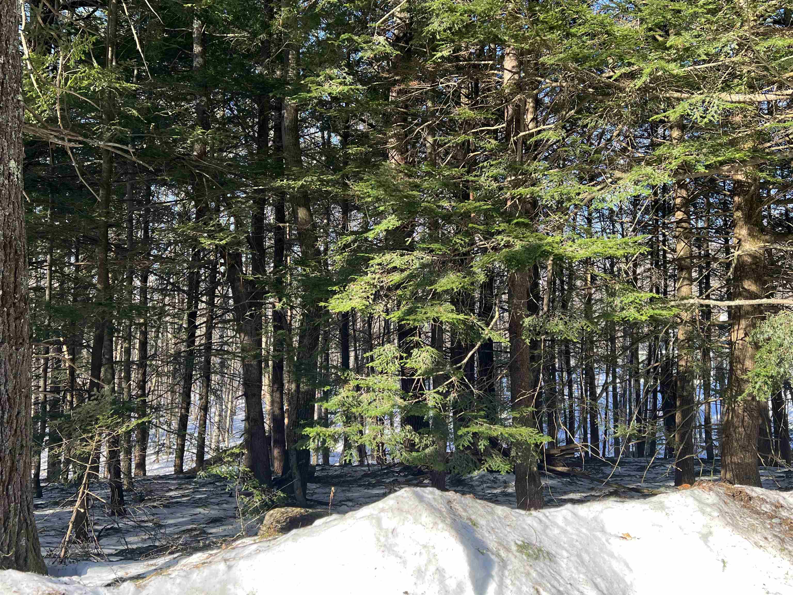 Neal Hill Road, Unit 2 Center Tuftonboro, NH 03816 - Photo 4 of 7 Gallery Image 4