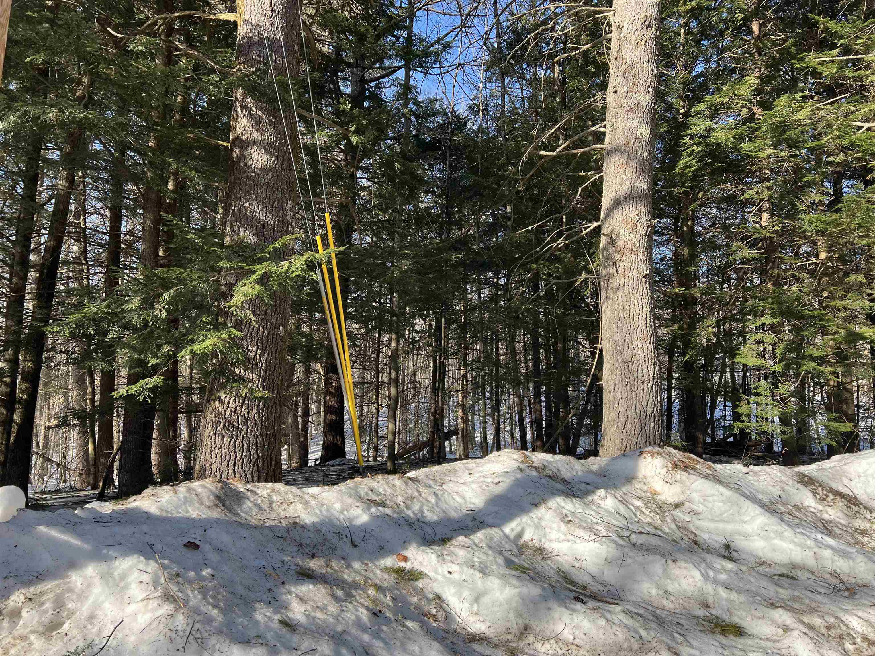 Neal Hill Road, Unit 2 Center Tuftonboro, NH 03816 - Photo 7 of 7 Gallery Image 7