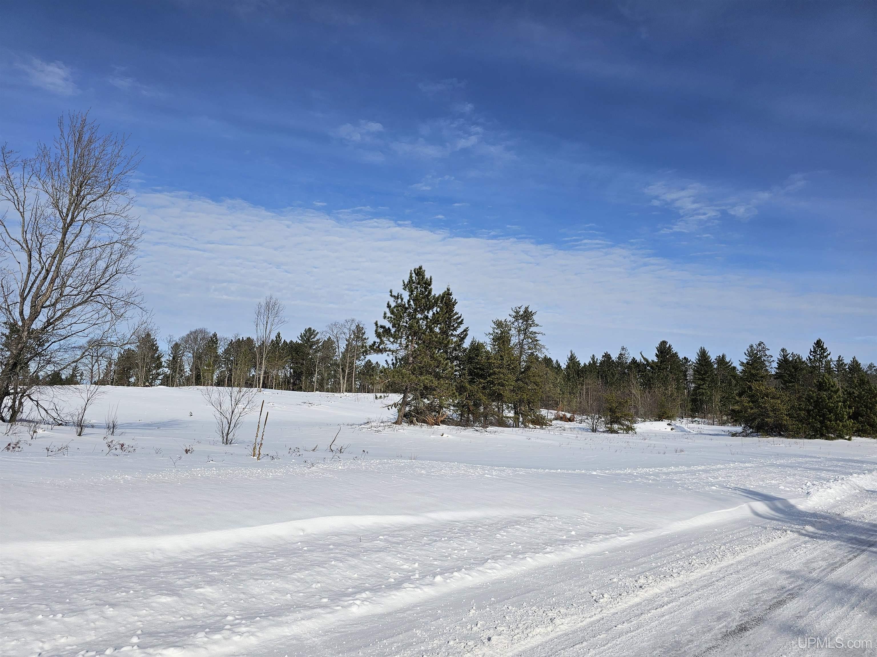 80 Acres Off Co Road Ishpeming, MI 49849 - Photo 5 of 5