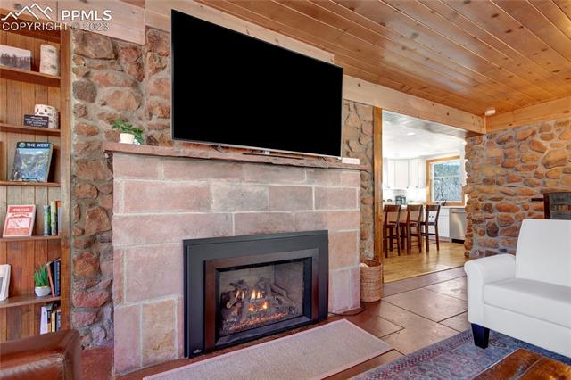 4580 Hagerman Road Cascade, CO 80809 - Photo 6 of 33 Indoor Napoleon Gas Smart Fireplace