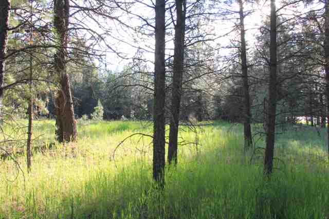 0 North Perry Road Deer Park, WA 99006 - Photo 8 of 9 Gallery Image 8