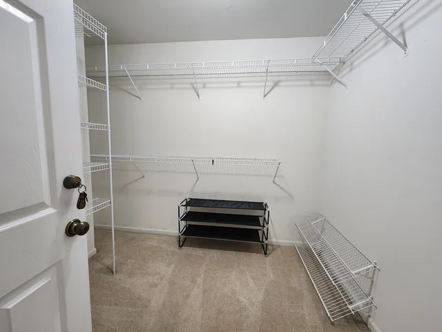 a view of storage and utility room with racks on the wall