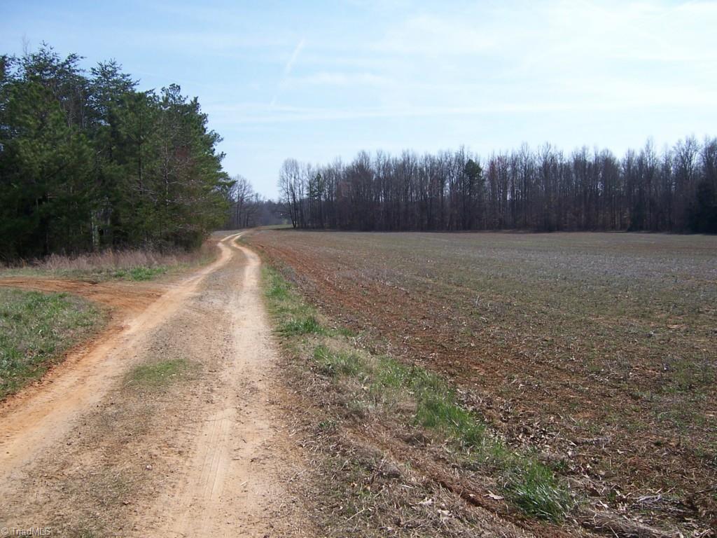 1678 Reedy Creek Road Lexington, NC 27295 - Photo 11 of 23 Gallery Image 11