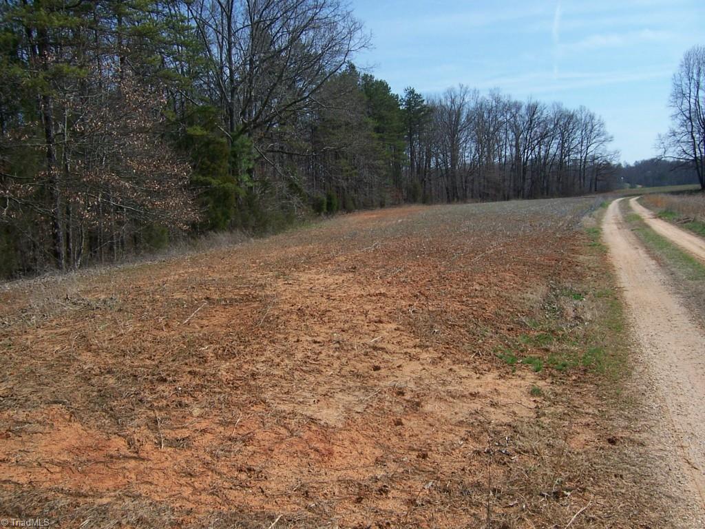 1678 Reedy Creek Road Lexington, NC 27295 - Photo 15 of 23 Gallery Image 15