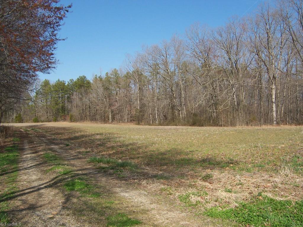 1678 Reedy Creek Road Lexington, NC 27295 - Photo 17 of 23 Gallery Image 17