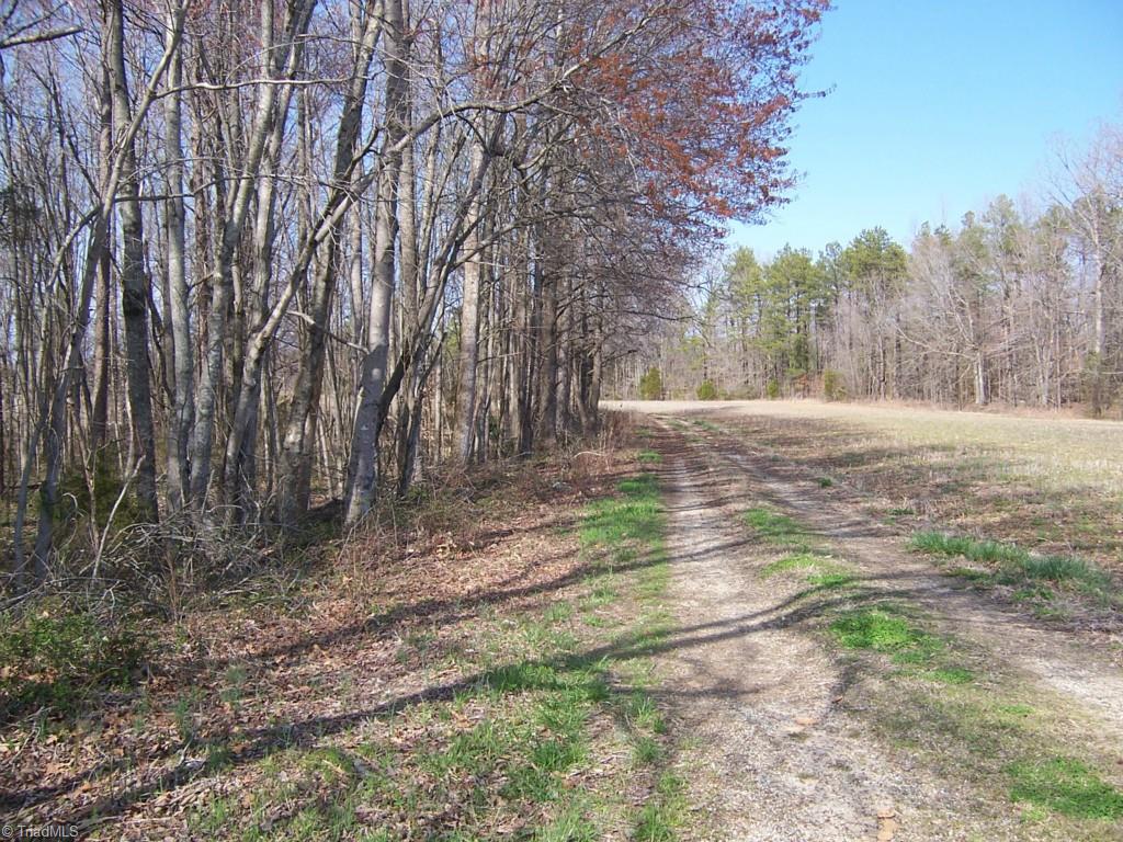 1678 Reedy Creek Road Lexington, NC 27295 - Photo 18 of 23 Gallery Image 18