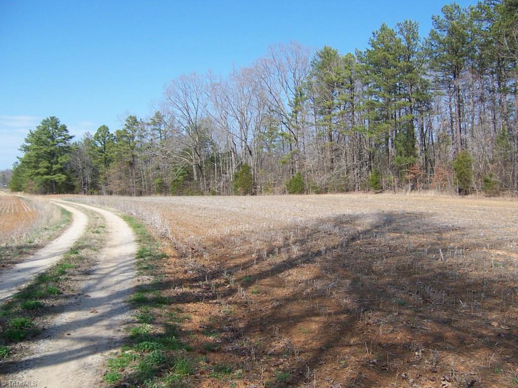 1678 Reedy Creek Road Lexington, NC 27295 - Photo 20 of 23 Gallery Image 20