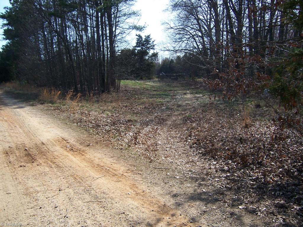 Gallery Image 6
