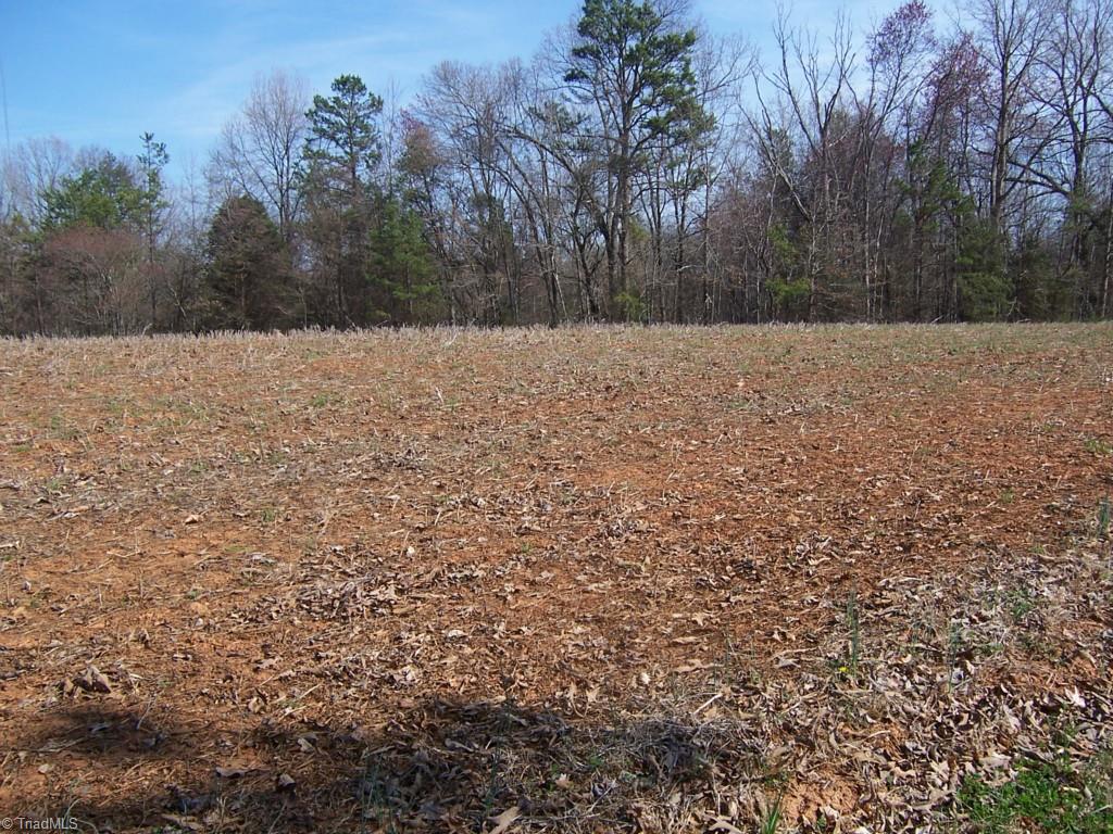 1678 Reedy Creek Road Lexington, NC 27295 - Photo 8 of 23 Gallery Image 8
