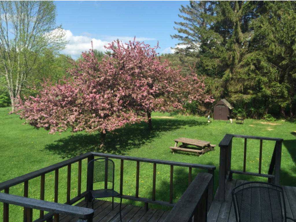 258 Dogford Road Hanover, NH 03755 - Photo 3 of 34